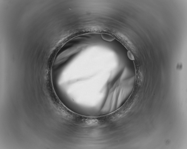 X0000090870355200708101338