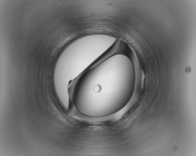 X0000090870356200708101338