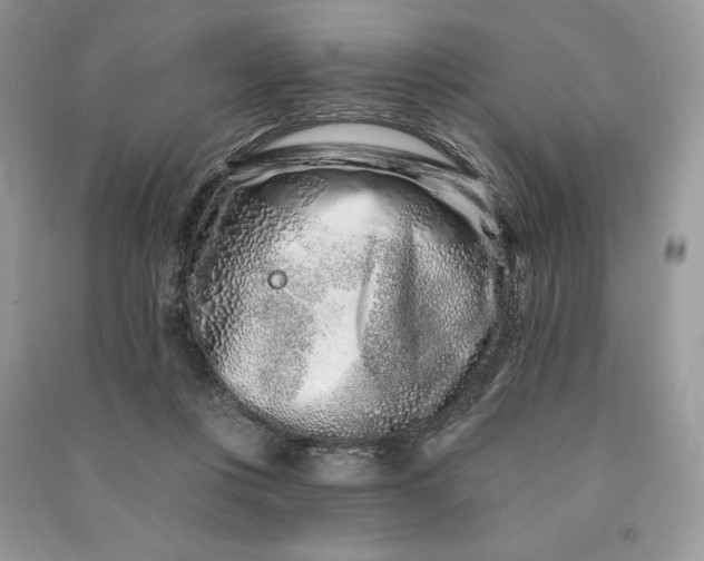 X0000090870359200708101338