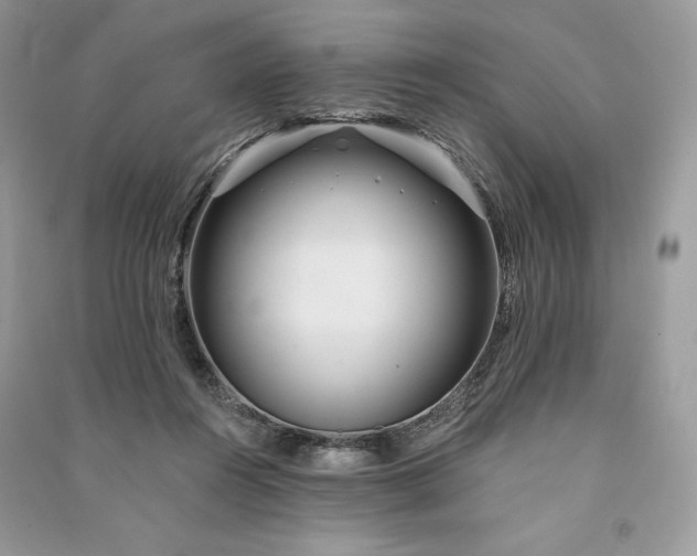 X0000090870360200708101338