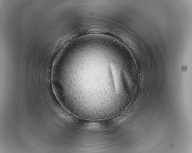 X0000090870361200708101338