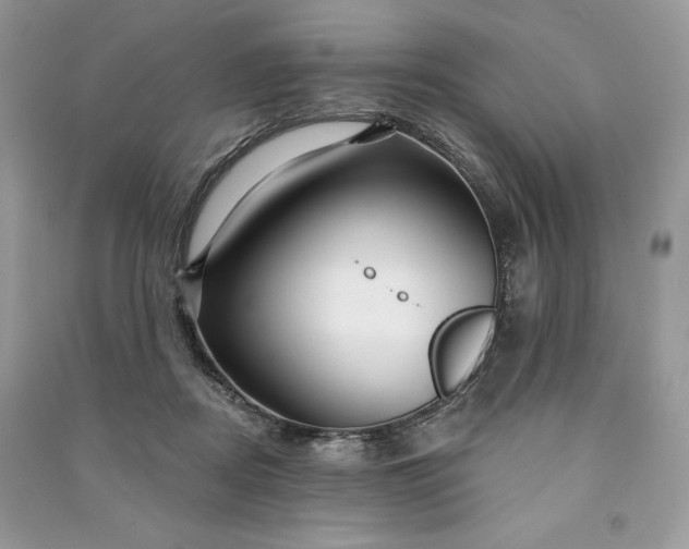 X0000090870362200708101338