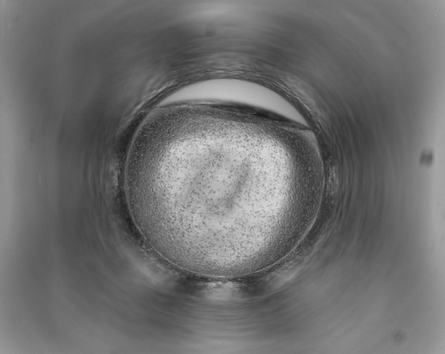 X0000090870363200708101338