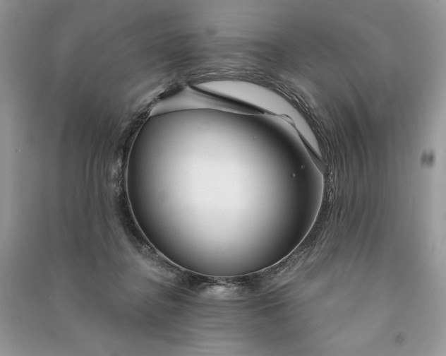 X0000090870364200708101338