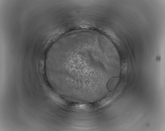 X0000090870365200708101338