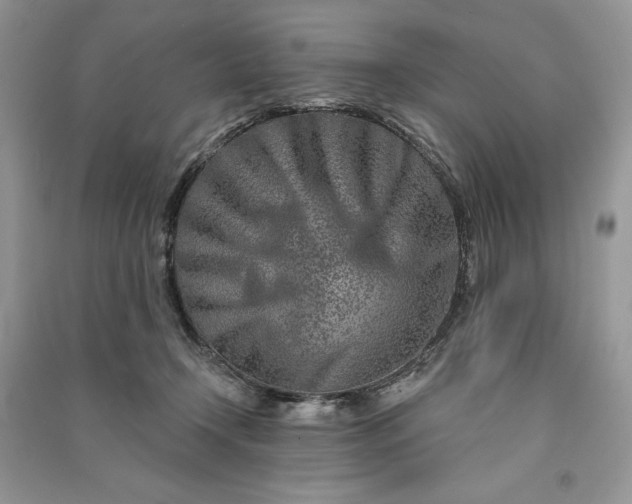 X0000090870366200708101338