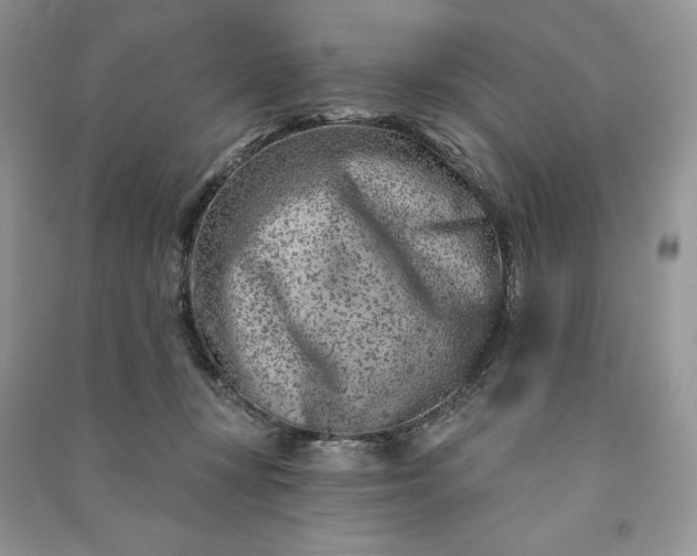 X0000090870367200708101339