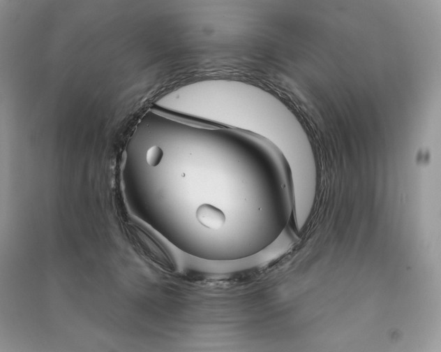 X0000090870368200708101339