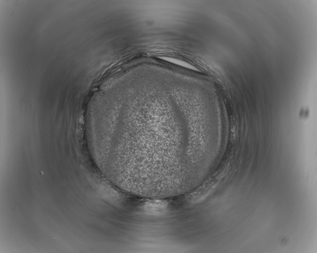 X0000090870369200708101339