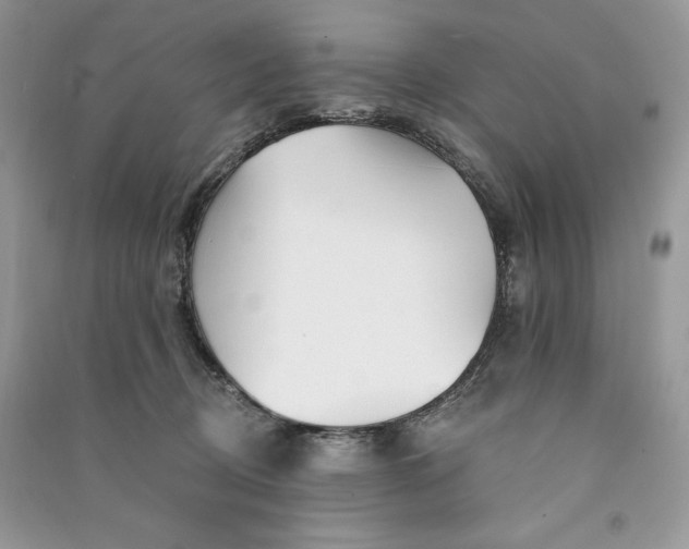 X0000090870370200708101339