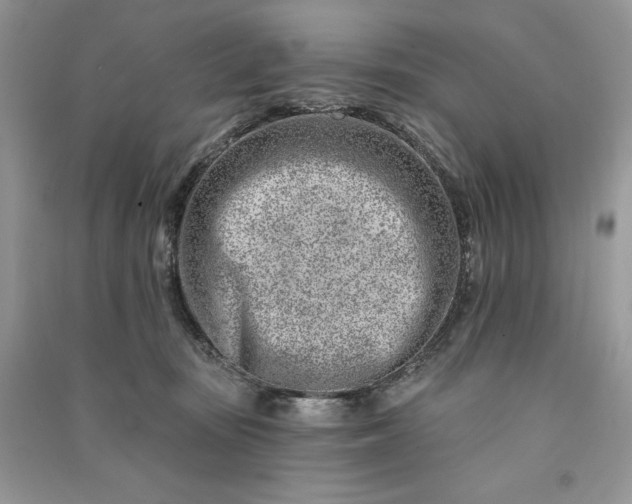 X0000090870371200708101339