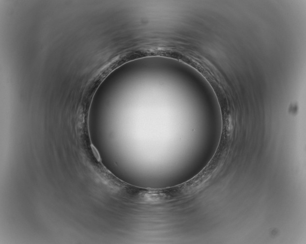 X0000090870372200708101339