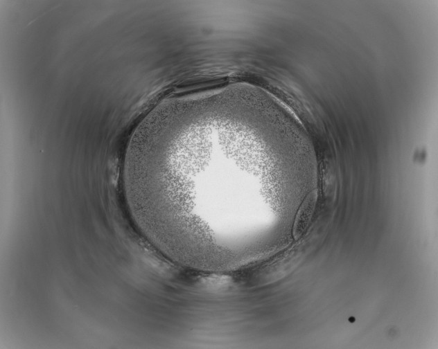 X0000090870374200708101339