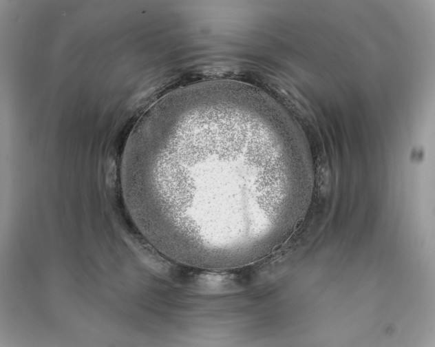 X0000090870375200708101339