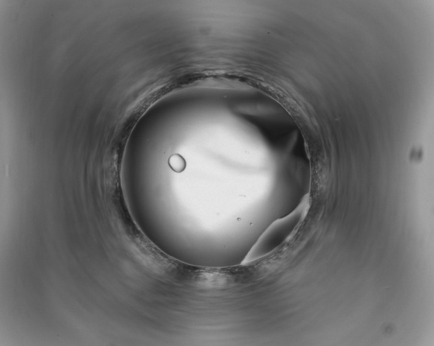 X0000090870376200708101339