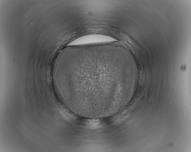 X0000090870377200708101339