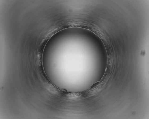 X0000090870378200708101339