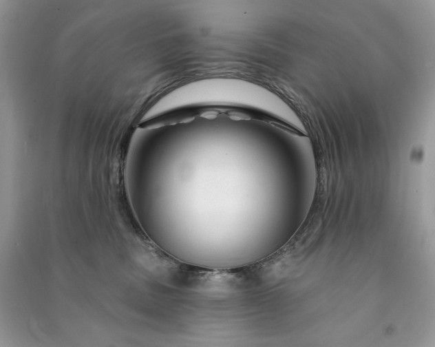 X0000090870379200708101339