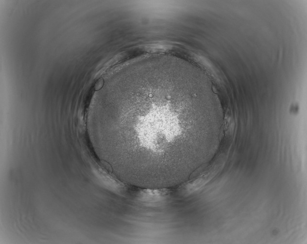 X0000090870381200708101339