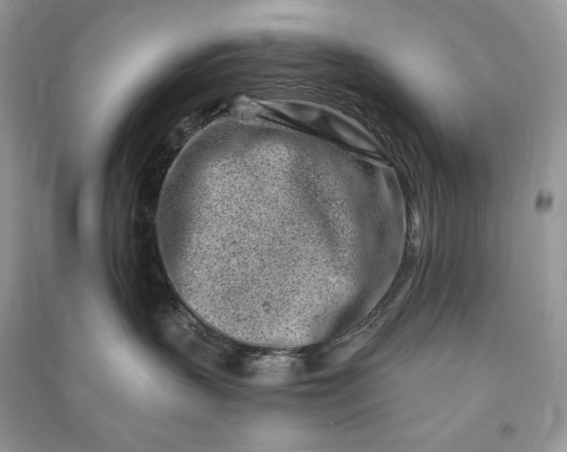 X0000090870383200708101339