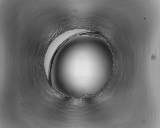 X0000090870384200708101339