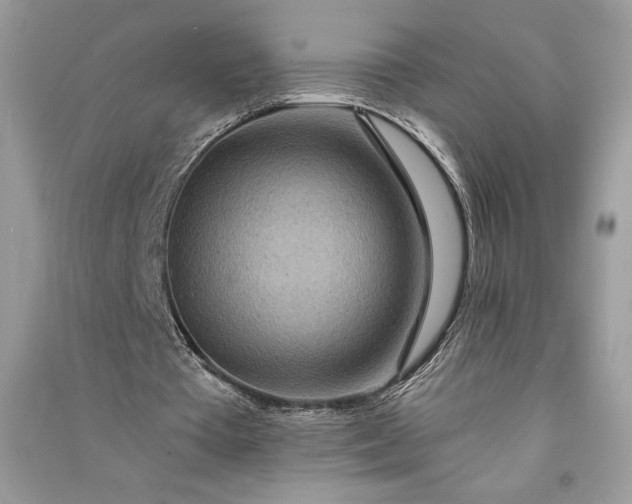 X0000090870385200708101338