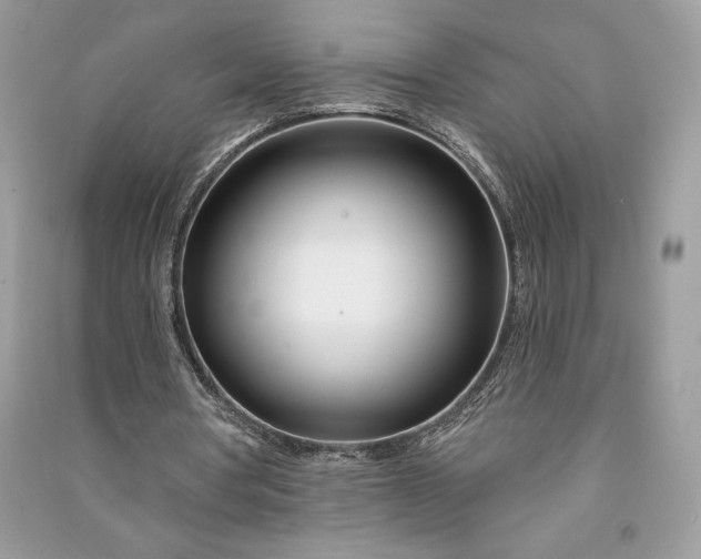 X0000090870386200708101338