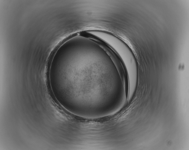 X0000090870387200708101338