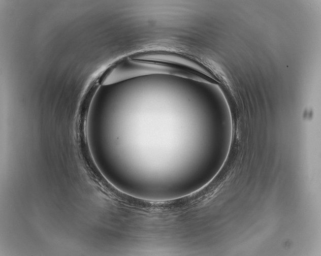 X0000090870388200708101338