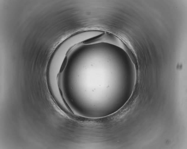 X0000090870389200708101338