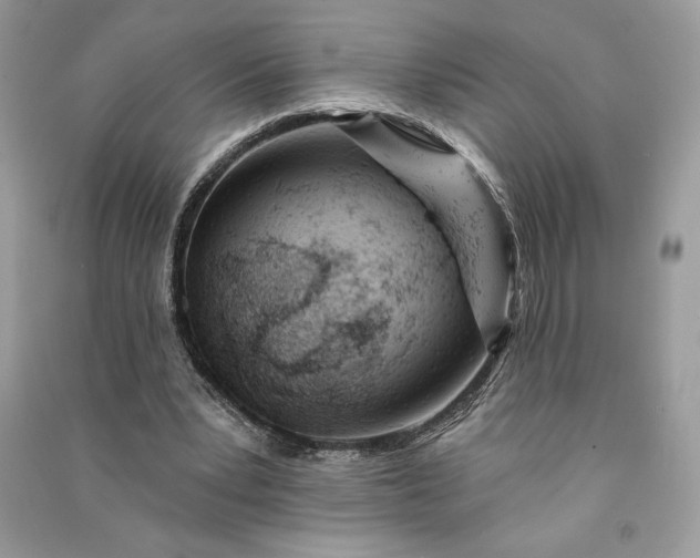 X0000090870391200708101338