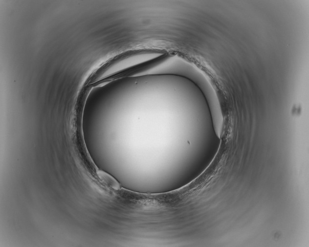 X0000090870392200708101338