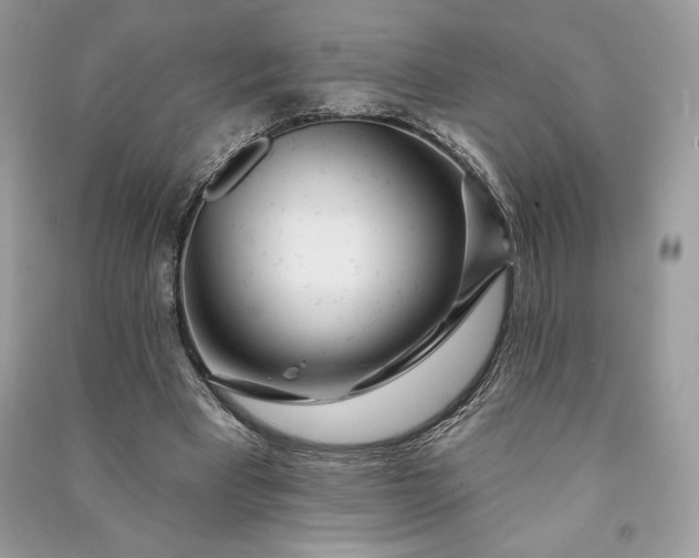 X0000090870393200708101338