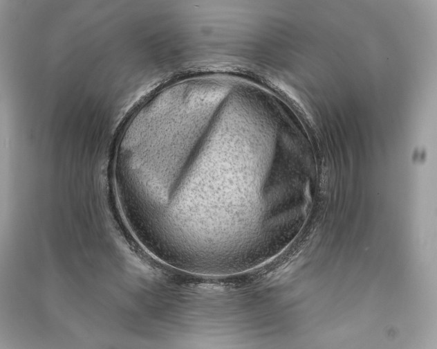 X0000090870394200708101338