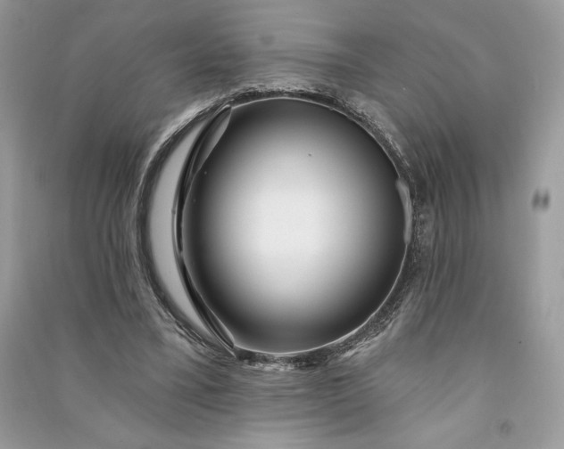 X0000090870395200708101338