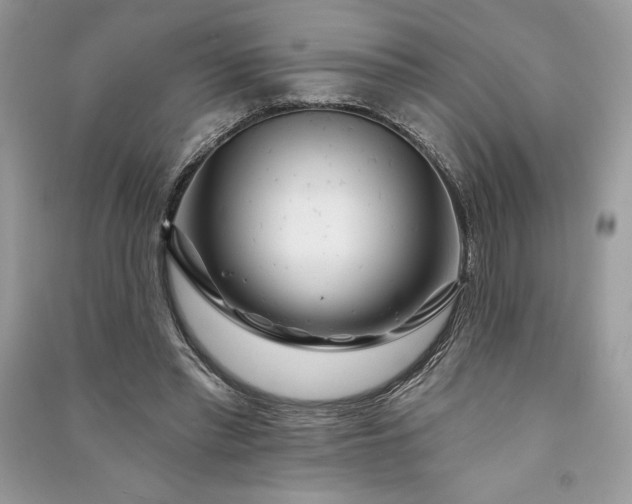 X0000090870397200708101338