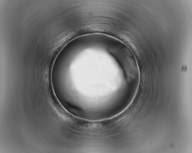 X0000090870398200708101338