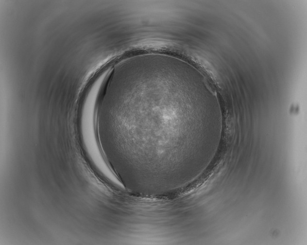 X0000090870399200708101338