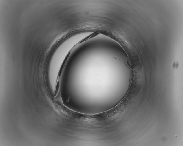 X0000090870400200708101338