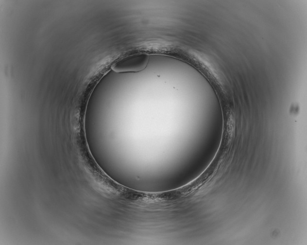 X0000090870403200708101338