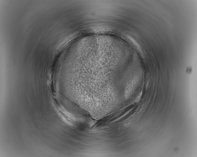 X0000090870405200708101338