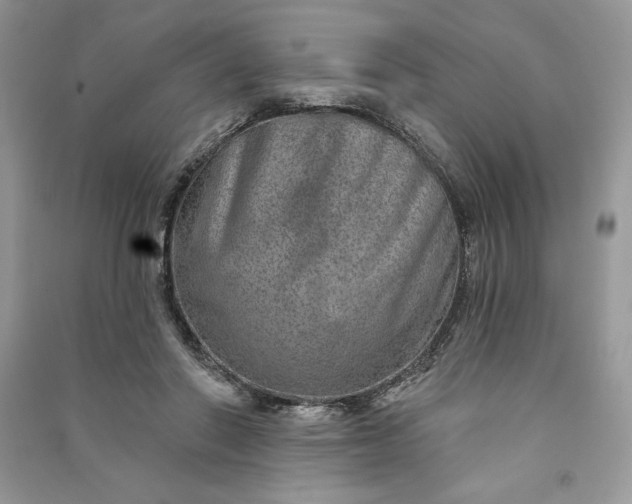 X0000090870406200708101338