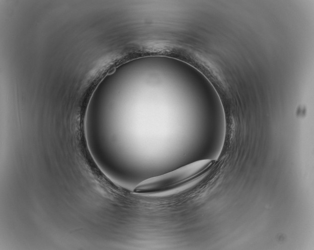 X0000090870407200708101338