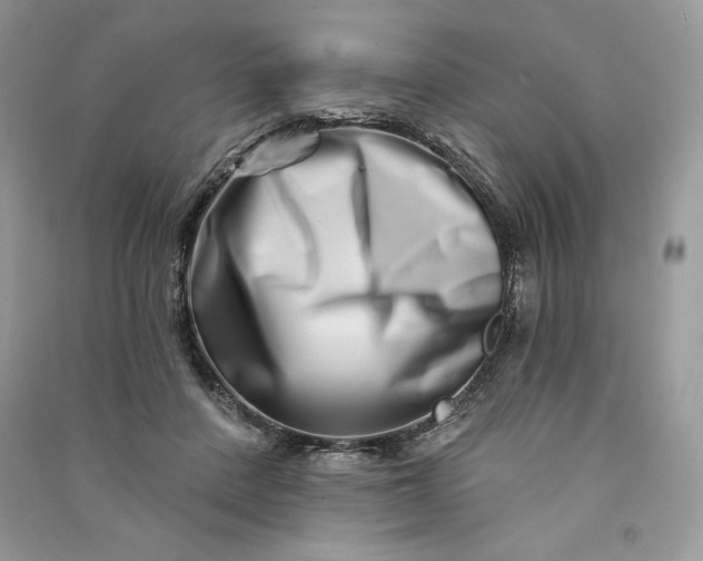 X0000090870408200708101338