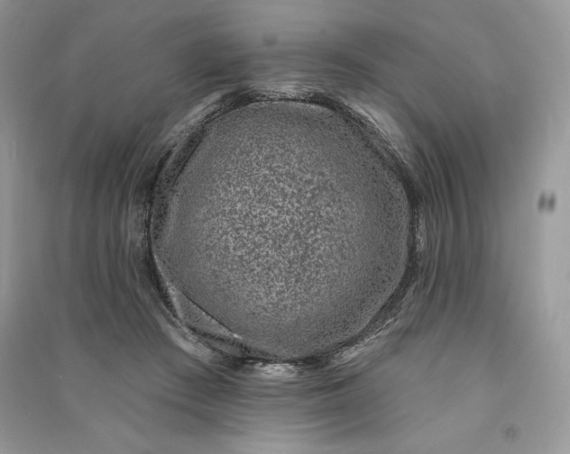 X0000090870409200708101338