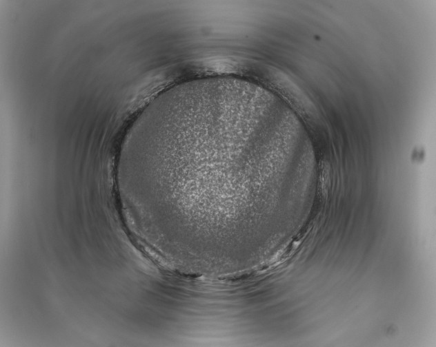 X0000090870410200708101338