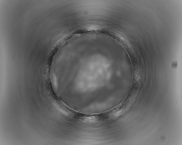 X0000090870411200708101338