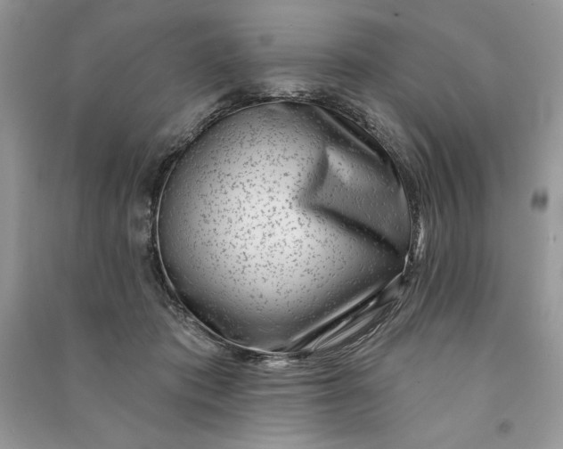 X0000090870413200708101338