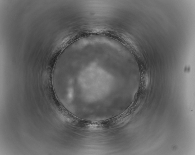 X0000090870415200708101338