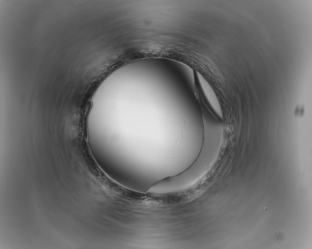 X0000090870416200708101338